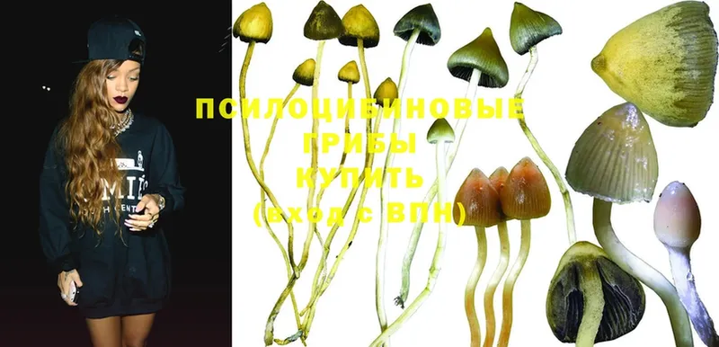 Псилоцибиновые грибы MAGIC MUSHROOMS  Билибино 